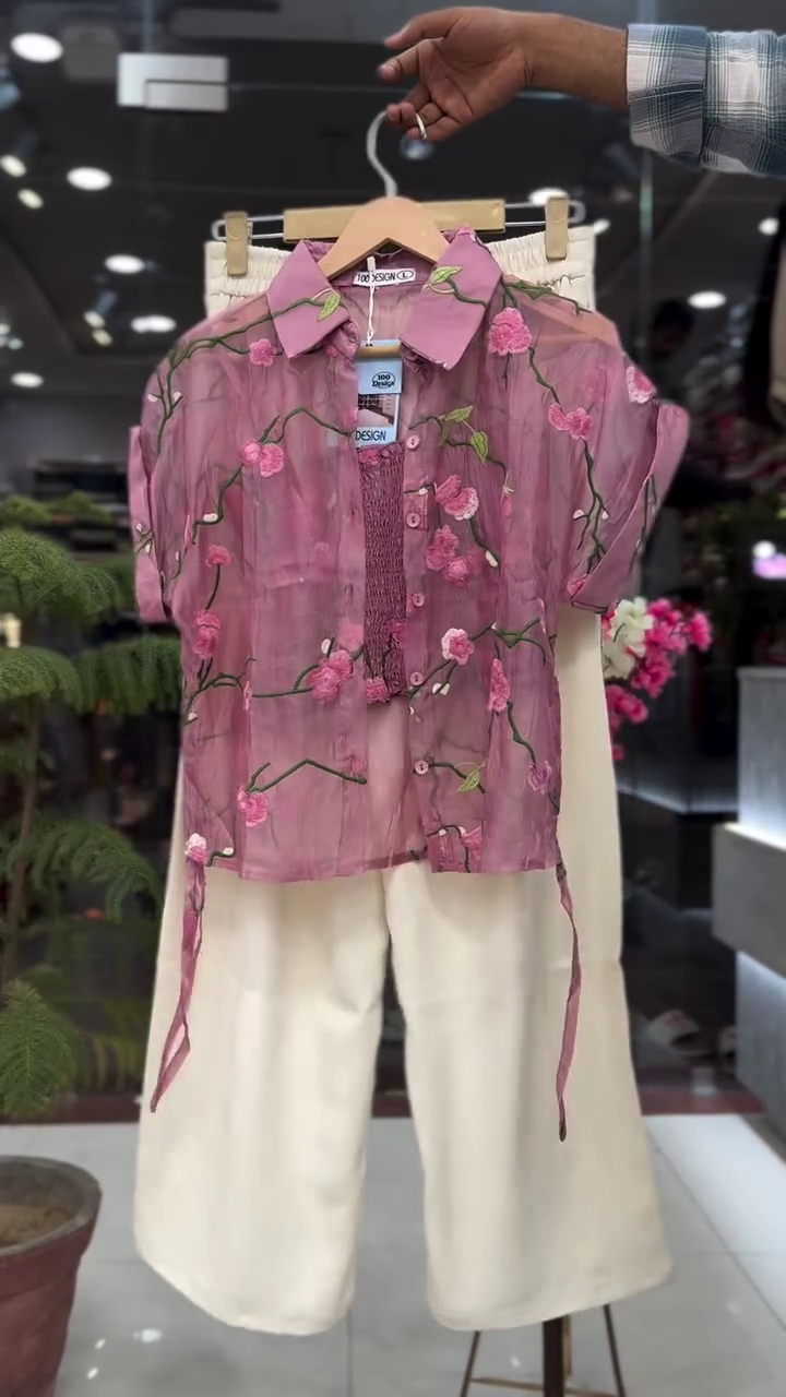 Floral Organza Shirt with Palazzo Combo